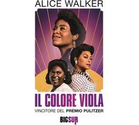 IL COLORE VIOLA - WALKER ALICE - Sur