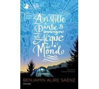Aristotle e Dante si immergono nelle acque del mondo