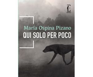 Libri Amaranta Sbardella - Qui solo per poco - 2025 (ñ)
