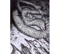 Libri Anders Petersen - Napoli. Anders Petersen. Ediz. Illustrata