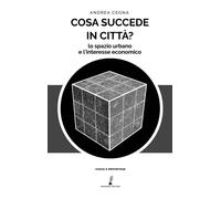 Cosa succede in città? Lo spazio urbano e l'interesse economico