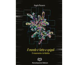 Libri Angela Rosauro - Il mondo è fatto a spigoli - 2022