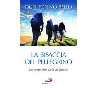La bisaccia del pellegrino. Un prete che parla ai giovani