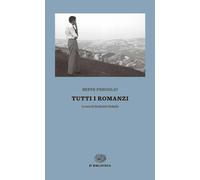 Libri Beppe Fenoglio - Tutti I Romanzi