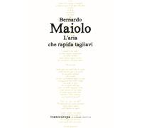 Libri Bernardo Maiolo - L'aria che rapida tagliavi - 2023