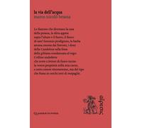 Libri Besana Marco Nicolo - La Via Dell'acqua