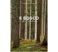 Il bosco di Fiemme