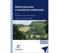 Libri Brocca Marco, Ferrucci Nicoletta - Diritto Forestale E Transizione Ambient