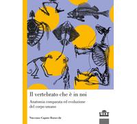 Libri Caputo Barucchi Vincenzo - Il Vertebrato Che E In Noi. Anatomia Comparata