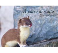 Libri Casse Alberto - A Passo Di Scatto