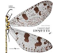 Libri Clara Corman - I segreti degli insetti - 2020