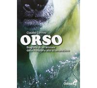 Libri Claudio Corvino - Orso. Biografia Di Un Animale Dalla Preistoria Allo Scia