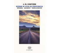 Libri Coetzee J. M. - Scene Di Vita Di Provincia: Infanzia-Gioventu-Tempo D'esta