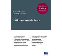 Libri Damiano Marinelli - L'affidamento del minore - 2017