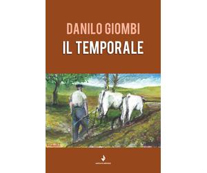 Libri Danilo Giombi - Il temporale - 2019 (Spiaggia libera)