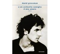Libri David Grossman - A Un Cerbiatto Somiglia Il Mio Amore