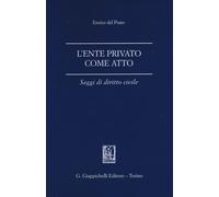 L' ente privato come atto. Saggi di diritto civile