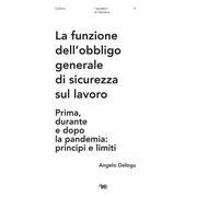 La funzione dell'obbligo generale di sicurezza sul lavoro. Prima, durante e dopo la pandemia: principi e limiti