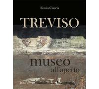 Libri Ennio Ciaccia - Treviso museo all'aperto - 2016