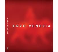 Enzo Venezia. Pitture, video, installazioni