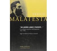 Libri Errico Malatesta - Un Lavoro Lungo E Paziente.... Il Socialismo Anarchico