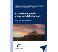 Esecuzione penale e vicende del giudicato