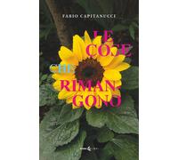 Libri Fabio Capitanucci - Le Cose Che Rimangono