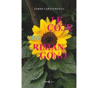 Libri Fabio Capitanucci - Le cose che rimangono - 2023