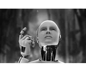 Libri Fabrice Hadjadj - Ultime Notizie Dall'uomo & Dalla Donna. Cronache Di Una