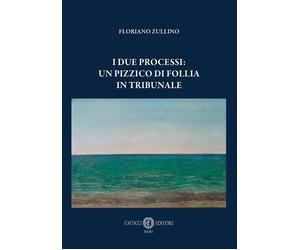 Libri Floriano Zullino - I Due Processi: Un Pizzico Di Follia In Tribunale