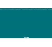 Libri Franco Fontana / Gernsheim Helmut - Skyline. Ediz. Italiana E Inglese