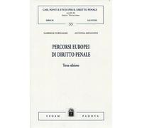 Libri Gabriele Fornasari / Antonia Menghini - Percorsi Europei Di Diritto Penale