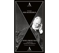 Libri Georges Didi-Huberman - Ninfa Profunda. Saggio Sul Panneggio-Tormenta