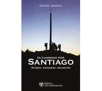 In cammino per Santiago. Storie, pensieri, incontri