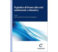 Libri Giudice Di Fronte Alla Crisi Ambientale E Climatica (Il)