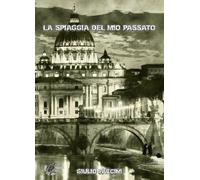 Libri Giulio Faccini - La Spiaggia Del Mio Passato