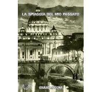 Libri Giulio Faccini - La spiaggia del mio passato - 2020