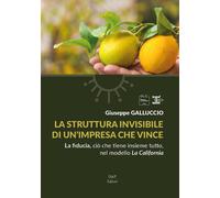 Libri Giuseppe Galluccio - La Struttura Invisibile Di Un'impresa Che Vince. La F