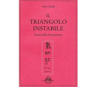 Il triangolo instabile - Tsuda Itsuo