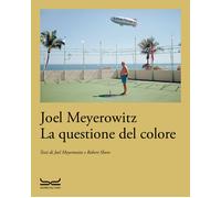 LA QUESTIONE DEL COLORE - MEYEROWITZ JOEL, SHORE ROBERT - 24 Ore Cultura