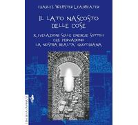 Il lato nascosto delle cose. Rivelazioni sulle energie sottili che pervadono la nostra realtà quotidiana
