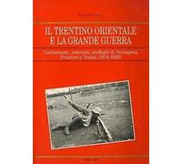 Libri Luciana Palla - Il Trentino Orientale E La Grande Guerra: Combattenti, Int