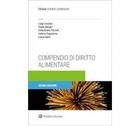 Libri Luigi Costato / Paolo Borghi / Sebastiano Rizzioli - Compendio Di Diritto