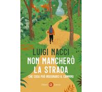 Libri Luigi Nacci - Non Manchero La Strada. Che Cosa Puo Insegnarci Il Cammino