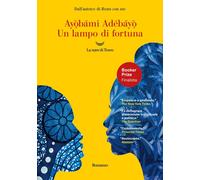 Libri Maria Baiocchi - Un lampo di fortuna - 2025 (Oceani)