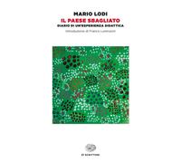 Il paese sbagliato. Diario di un'esperienza didattica