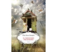 Libri Massimo Ferraris - Il vecchio incendio - 2025 (Scatti)