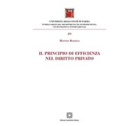 Libri Matteo Boselli - Il Principio Di Efficienza Nel Diritto Privato