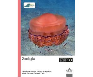 Libri Maurizio Casiraghi / De Eguileor Magda / Cerrano Carlo - Zoologia
