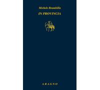 Libri Michele Brambilla - In provincia - 2023 (Biblioteca Aragno)